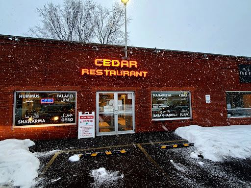 Cedar - Visual