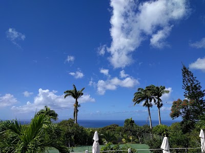 Photos of Restaurant at Montpelier Plantation Inn