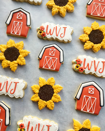 Raining Cookies - Visual