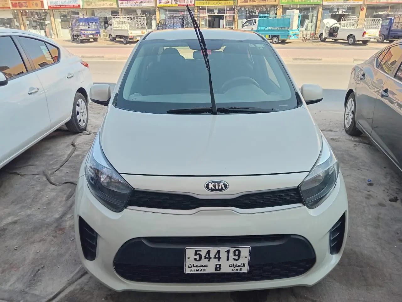 الاسد الصغير لتأجير السيارات - صورة 2