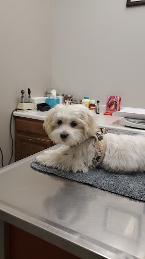 Mission Viejo Veterinary Hospital