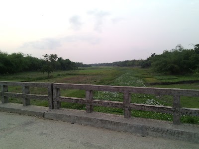 Photos of ফতেপুর জামে মসজিদ