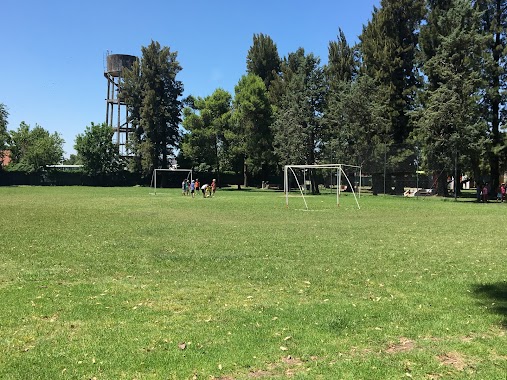 Campo de Deportes Massalin Particulares, Author: Ariel Ferreiro