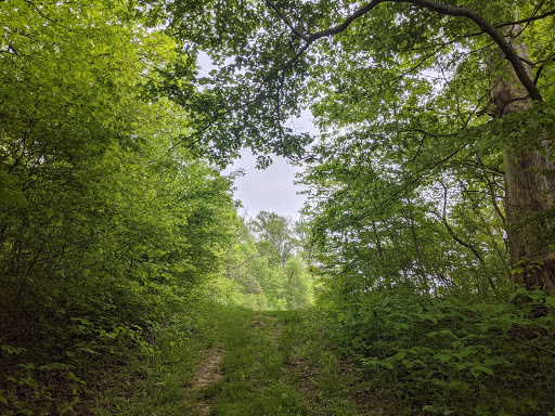 Powell Preserve - Thumbnail