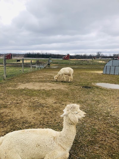 Domino’s Farms Petting Farm