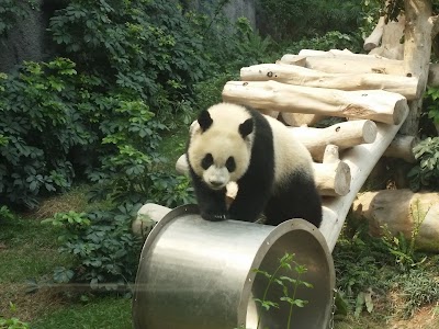 Photos of Seac Pai Van Park