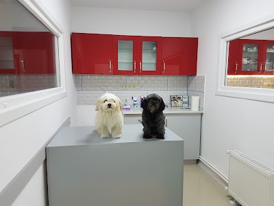 Photos of &Ccedil;anakkale Veteriner Kliniği