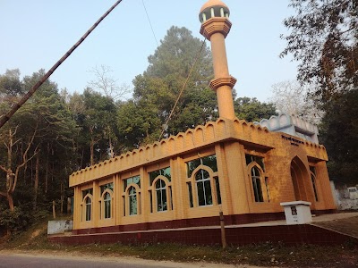 Photos of Shatchhari National Park Jame Masjid