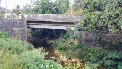 Photos of Bridge Shop