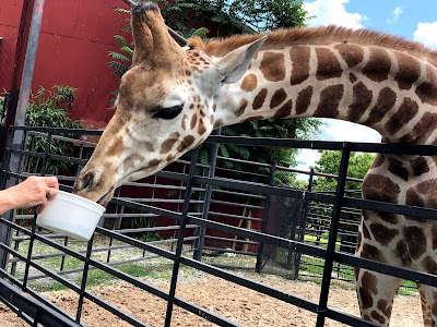 Tennessee Safari Park