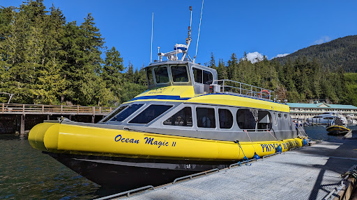 Prince of Whales - Whale & Marine Wildlife Adventures Telegraph Cove - Thumbnail