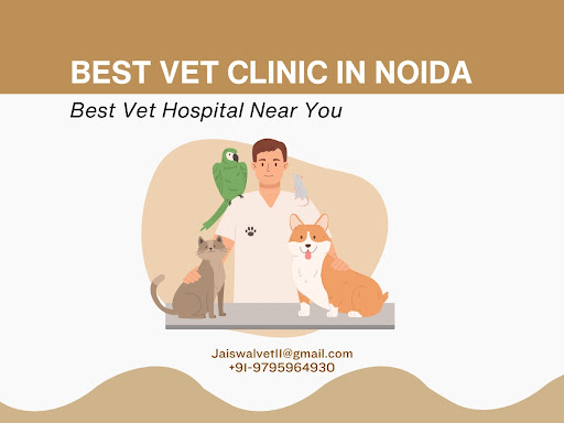 Best Vet Clinic In Noida | Best Vet Hospital Near You post image