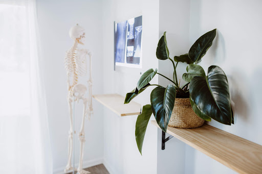 Chiro + Co. | - Visual