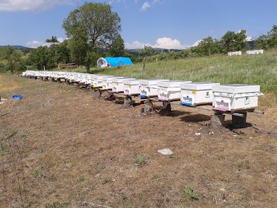 Photos of Nizip Teknik ve Endustri Meslek Lisesi