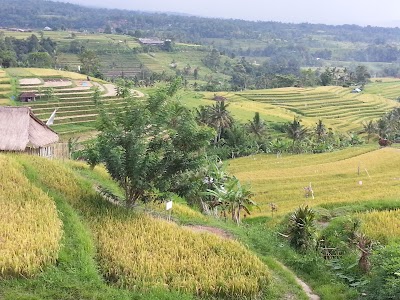 Photos of Guida Bali Fai Date