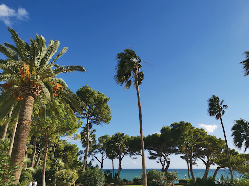 Mallorca Wellness SPA - Eurotel Punta Rotja - Thumbnail