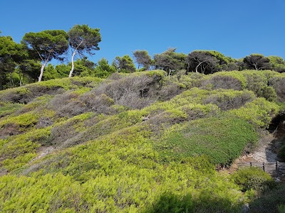 Photos of Touring Club Italiano - Isole Tremiti