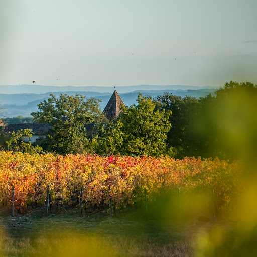Photo de Domaine de Brousse à Cahuzac-sur-Vère (81140)
