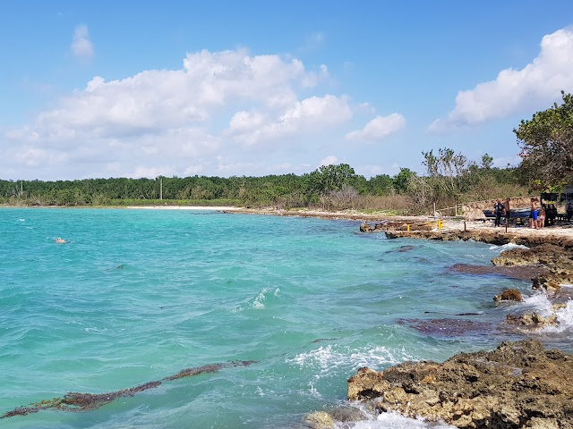 Punta Perdiz