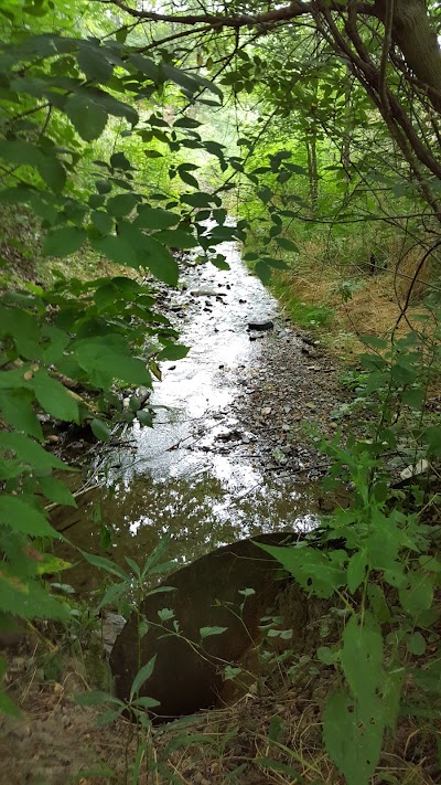 Photos of Cool Springs Wildlife Conservation Park