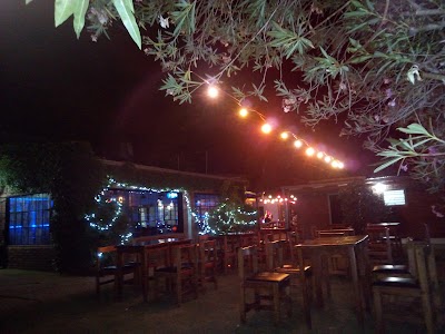 Photos of Complejo Vinilo padel bar