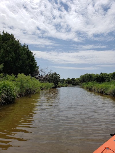 Washita County