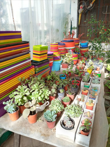 Vivero "Jacarandá" - Foto 1