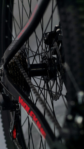 WolfKing Bike - Visual