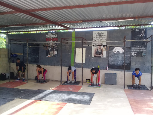 Troyacrosstraining - Visual