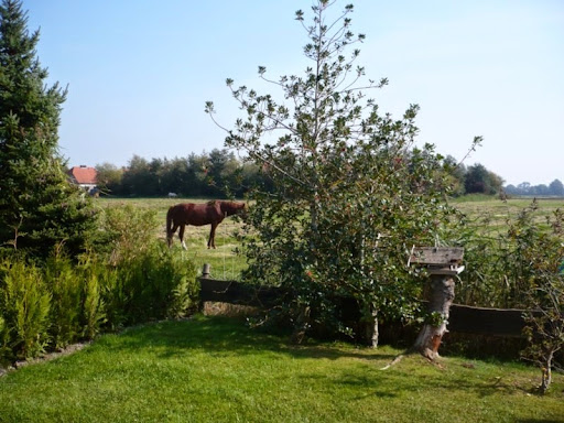 Ferienhaus Nordseeschwalbe - Thumbnail