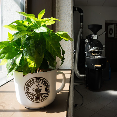 Mala Pražarna by null