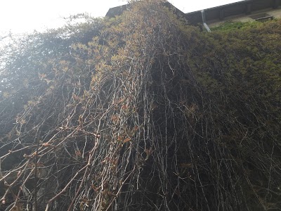Photos of Taedonggang Hotel
