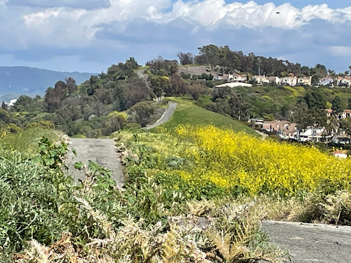 Knob Hill - Thumbnail