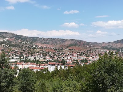 Photos of Nallihan Belediyesi