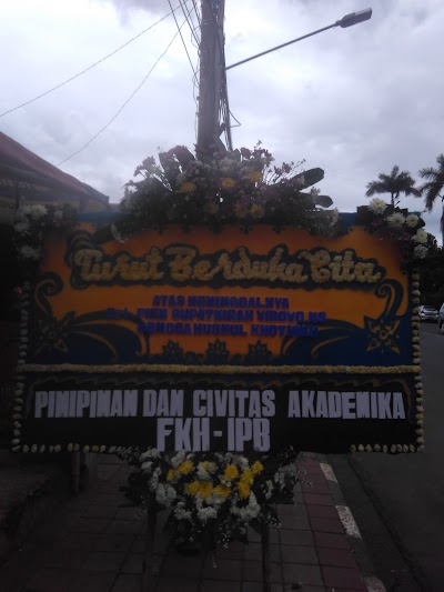 Photos of Her Florist