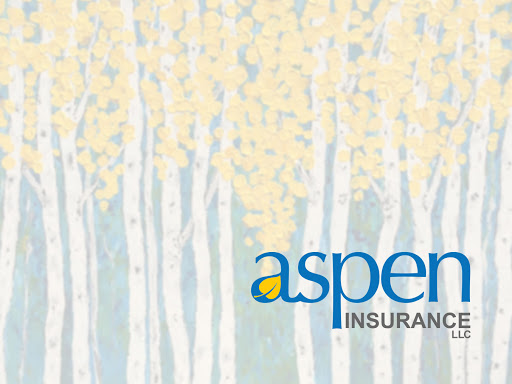 Aspen Insurance LLC - Thumbnail