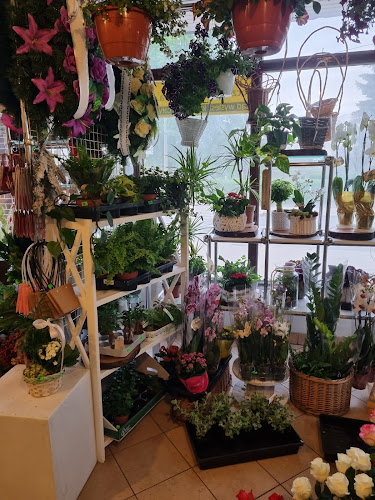 Kwiaciarnia KWIATY ZIELONE KLIMATY Małgorzata Stawiarz - Kwiaciarnia