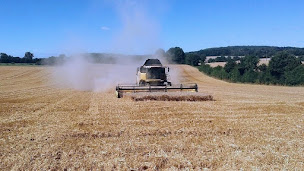 Photo n°8 de Lechopier ETA à Val-au-Perche (Service agricole)