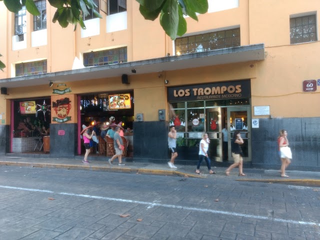 Auto Progreso