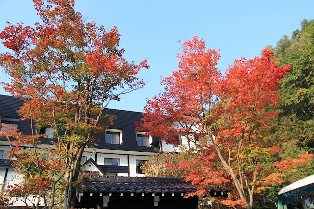 Hodakaso Yamano Hotel