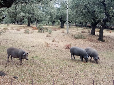 Photos of Sierra de Aracena and Picos de Aroche