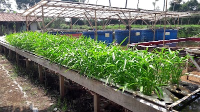 Photos of Pasar Benih Ikan
