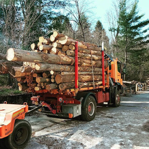 LAGO MAGGIORE LEGNAMI - Vendita Legname e Servizi Forestali