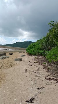 ブーゲンビリアガーデン