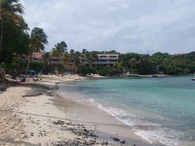 Photos of Aqua Action Dive Center