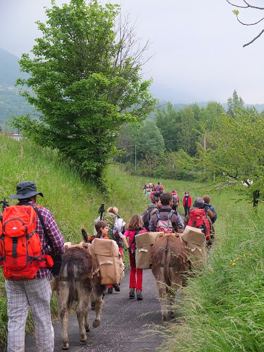 Montagne di legami, trekking Pisa, Lucca, Livorno, itinerari a piedi in Toscana ed Emilia Romagna - Thumbnail