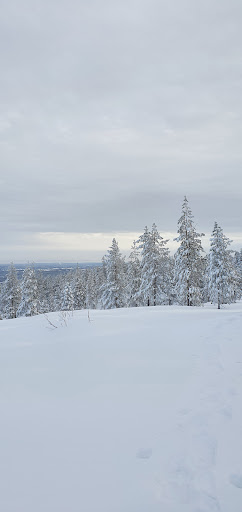 Långberget - Visual