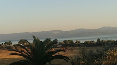 Photos of El Greco Eretria