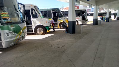 Photos of Omnibus De M&eacute;xico - Celaya