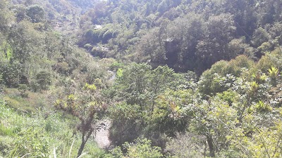Photos of La Castalia